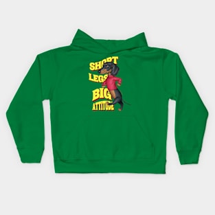 Short Legs Big Attitude Kids Hoodie